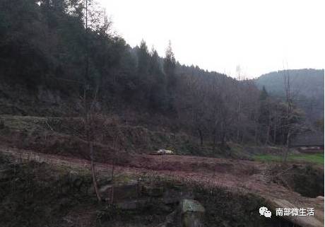 農(nóng)村小伙自建一層小別墅過程全直播，自建房的可以看看哦