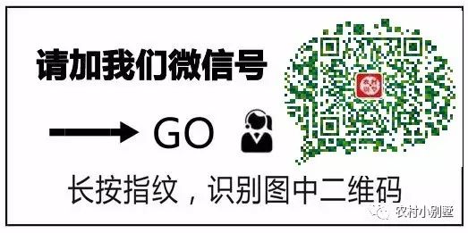 15.6x9.5米帶獨立車庫農村三層小洋樓設計圖，推薦爆款