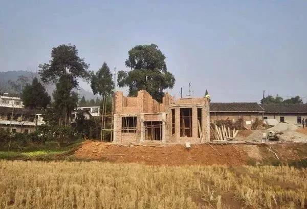 如此美觀的二層別墅設(shè)計(jì)圖，不建一棟是在太可惜了