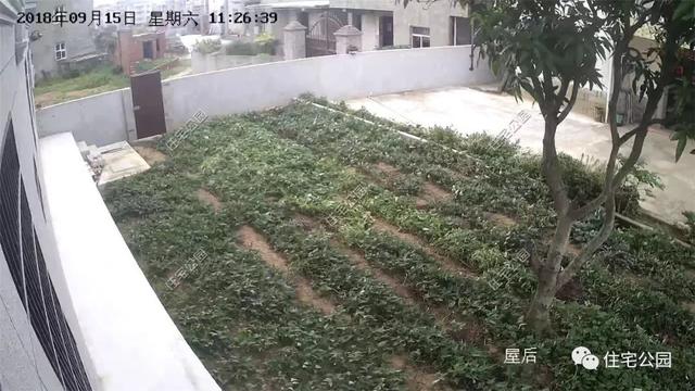 在國(guó)外定居不如回家蓋別墅，自建房您的理想首選