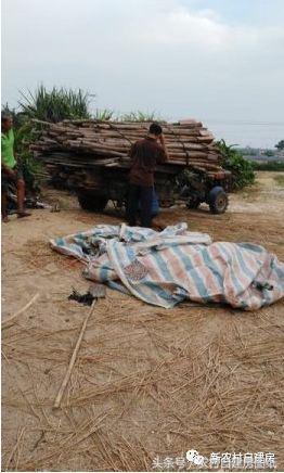 農村二層別墅自建房，簡單實用，只要10萬就能建成，很適合農村自建！