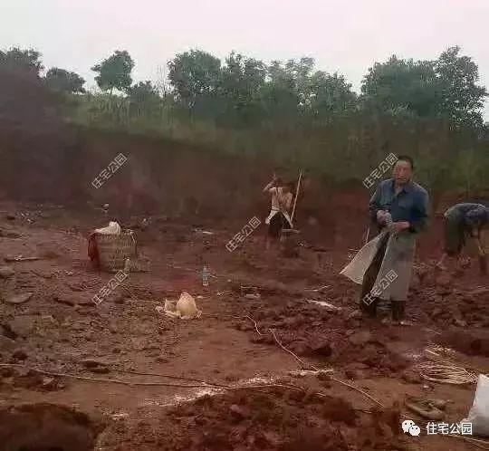 重慶農(nóng)村自建房實(shí)拍照片，75萬(wàn)蓋起的3層養(yǎng)老別墅，布局沒(méi)得挑！