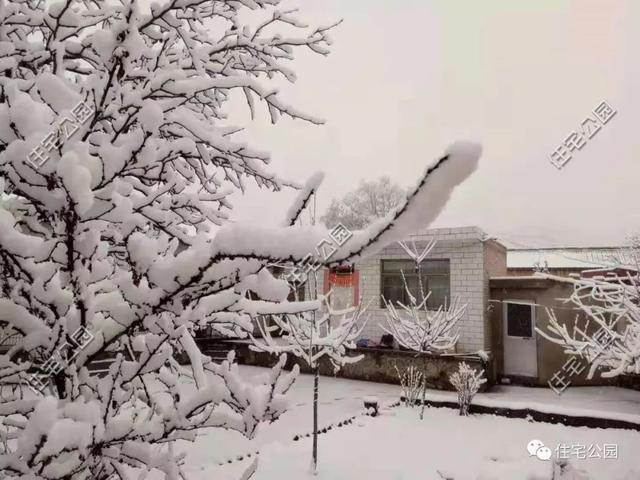 農(nóng)村小伙自畫結構圖，不到20萬建成兩層小別墅，怎么做到的？