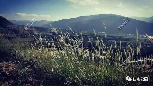 農(nóng)村小伙自畫結構圖，不到20萬建成兩層小別墅，怎么做到的？