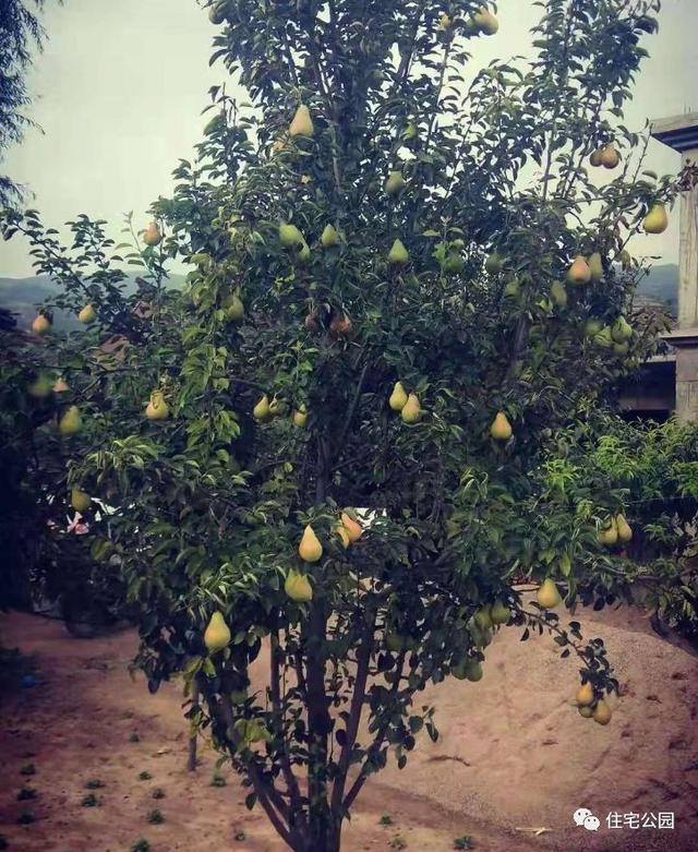 農(nóng)村小伙自畫結構圖，不到20萬建成兩層小別墅，怎么做到的？