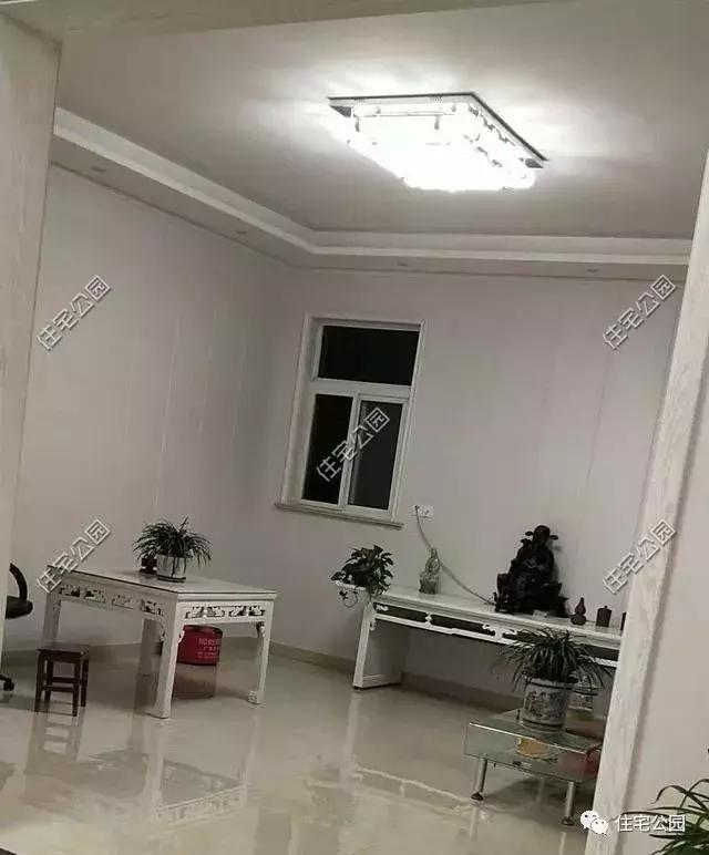 江蘇農(nóng)村花了50萬建成的平房別墅，這樣光伏發(fā)電的屋面見過么