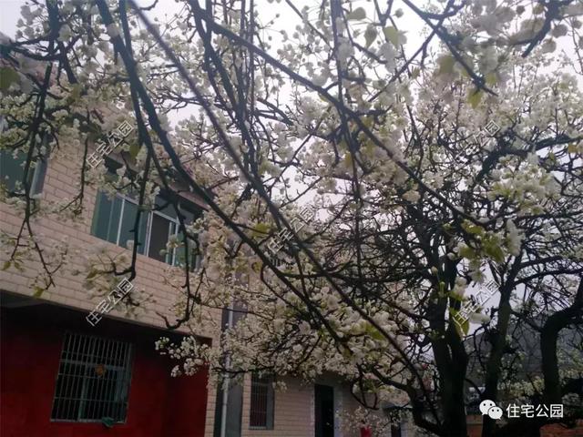 趁熱鬧來(lái)曬曬我的新房子，帶大院的兩層小洋樓，27萬(wàn)蓋好美滋滋