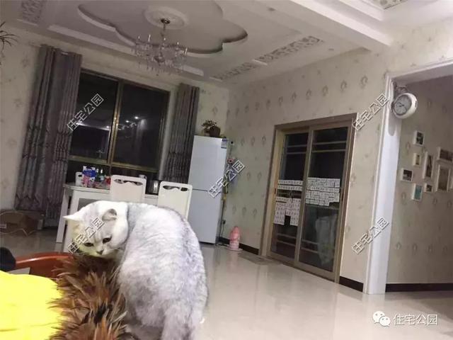 趁熱鬧來(lái)曬曬我的新房子，帶大院的兩層小洋樓，27萬(wàn)蓋好美滋滋