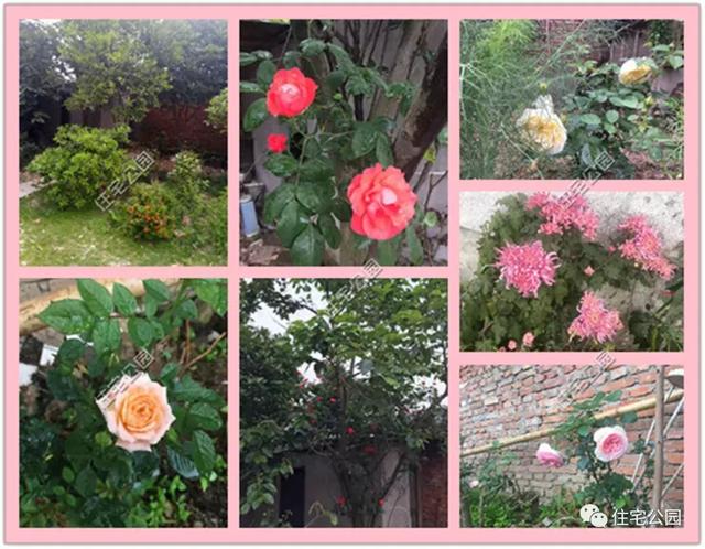 趁熱鬧來(lái)曬曬我的新房子，帶大院的兩層小洋樓，27萬(wàn)蓋好美滋滋