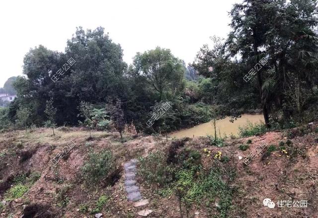 為了回老家工作的女兒，江西父母建三層別墅，小院裝修全做好120萬