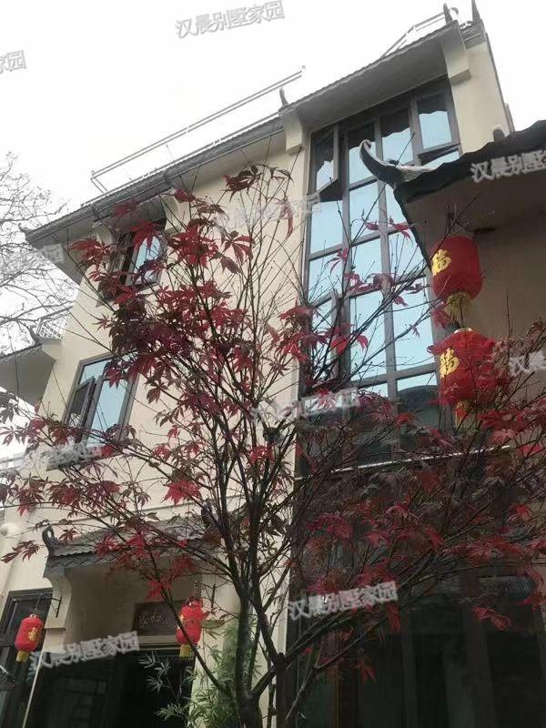 兩面鄰居開間只有8.8米，怎么建房？看看這套花50萬建成的中式別墅！