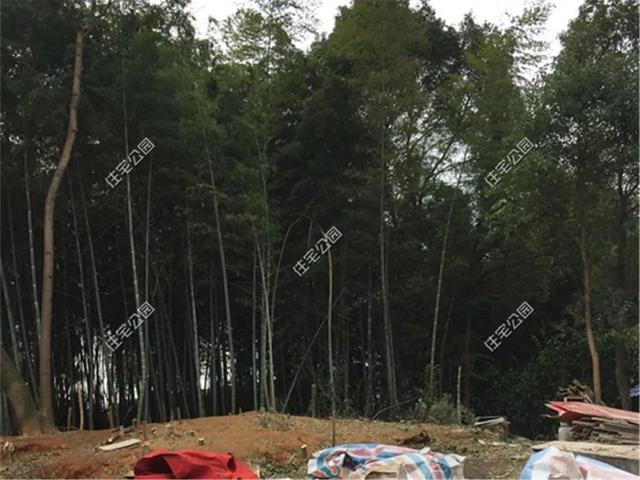 農(nóng)村包工頭給自家建房，30萬建成一層別墅，質(zhì)量更是沒得說