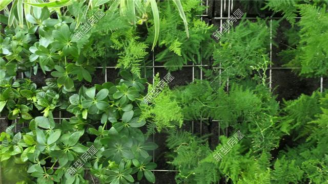 想修建輕鋼別墅？先搞清楚構(gòu)建、樓板、外墻和取暖這4個問題！