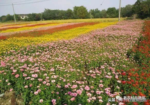 江蘇小伙回農村自建別墅，包工包料每瓶1200，村里還有花海、草坪！