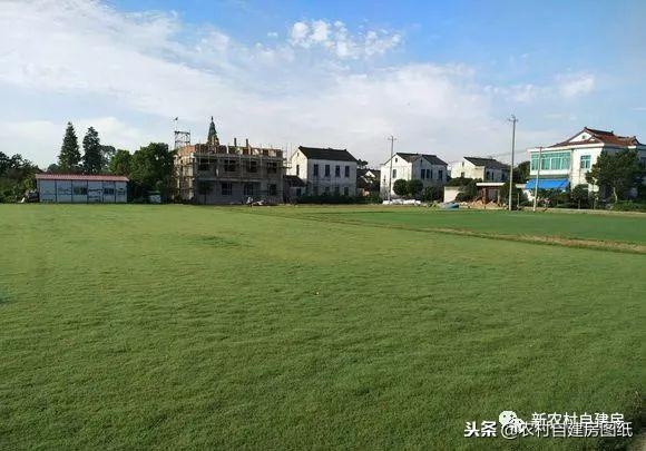 江蘇小伙回農村自建別墅，包工包料每瓶1200，村里還有花海、草坪！