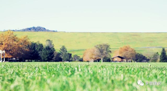 雙拼別墅設(shè)計(jì)圖，家里兄弟姐妹多，實(shí)用大氣還有檔次！