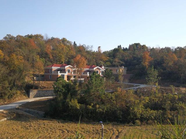 兩兄弟建雙排別墅設(shè)計(jì)圖，鄰居看了都羨慕。