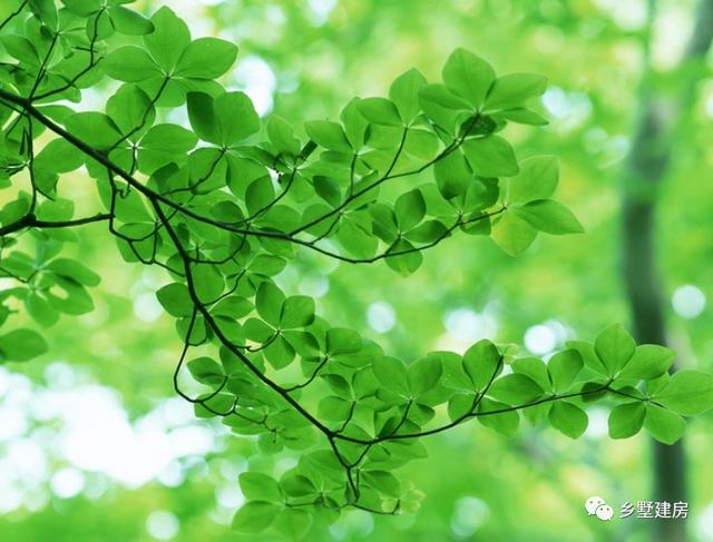 歐式現(xiàn)代二層小樓設(shè)計(jì)圖，主體使用石材，時(shí)尚大氣，錯(cuò)落有致，別有一番風(fēng)味。