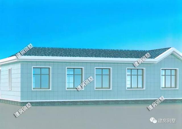 這兩棟一層別墅設計圖，豪華不失大氣，空間使用率高