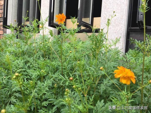 50萬(wàn)農(nóng)村自建二層小樓，超值，還帶裝修