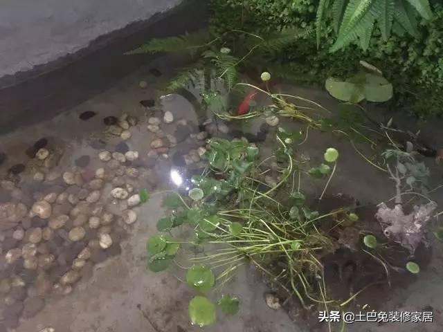 50萬(wàn)農(nóng)村自建二層小樓，超值，還帶裝修