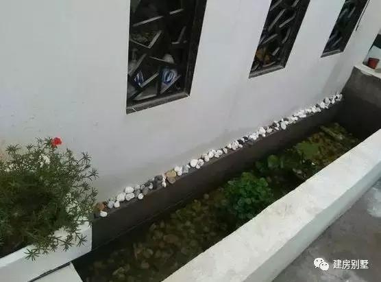 曬曬我的農(nóng)村自建房，外觀其貌不揚(yáng)，但戶型布局非常實(shí)用