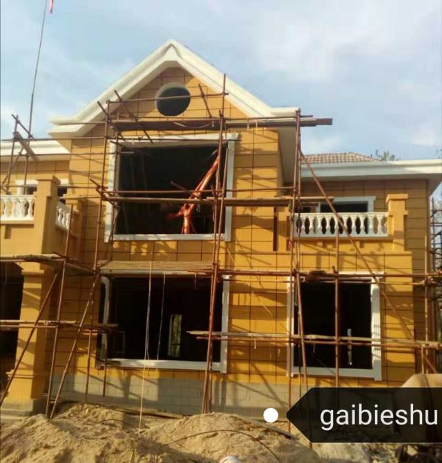 36萬(wàn)河南建二層小別墅戶(hù)型圖附完工實(shí)拍圖，造型好看