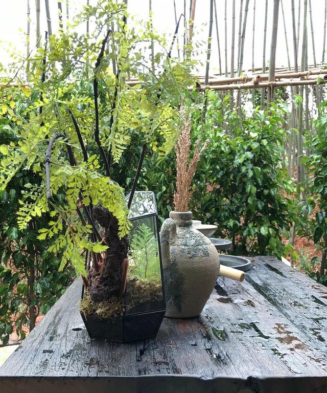 最美庭院別墅實拍，一進庭院就被驚艷到了，這才叫別墅