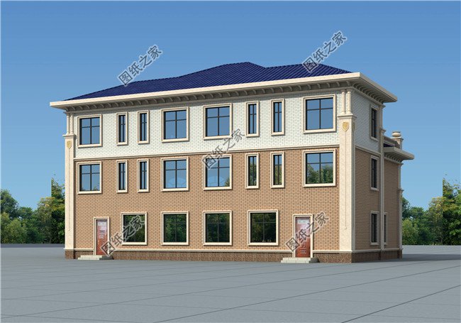 250平方米農(nóng)村豪華歐式三層兄弟雙拼別墅設計圖